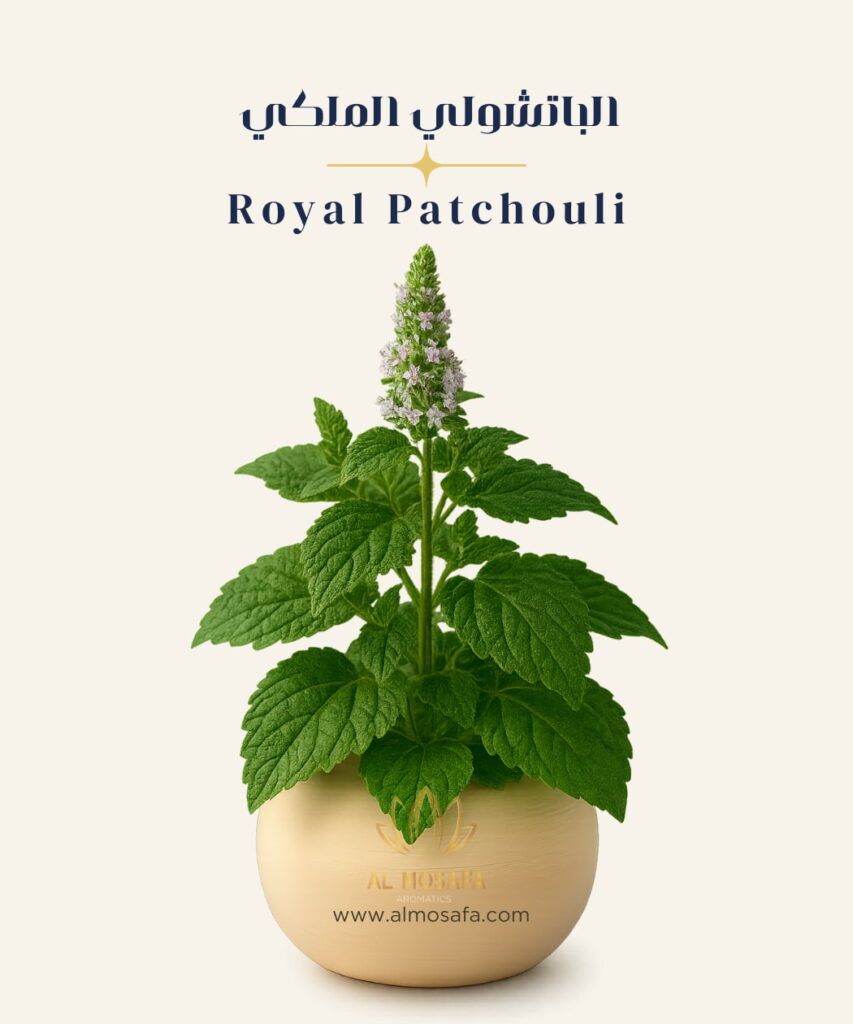 The luxurious Royal Patchouli perfume in a golden-hued, Tom Ford-style glass bottle with a black cap, set beside artistic representations of its key notes: patchouli leaves, cinnamon sticks, and vanilla pods.